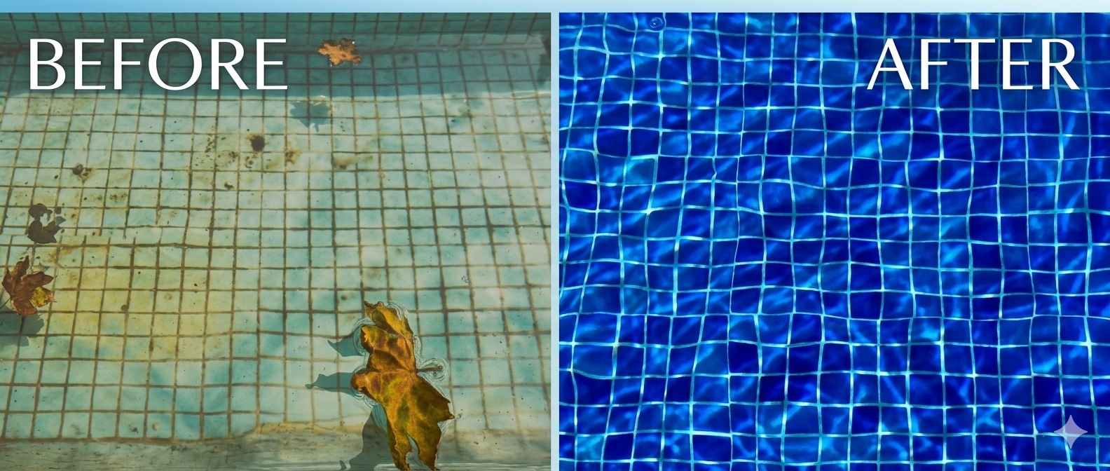 Pool restored from green to clean by Pool & Spa Experts — before and after